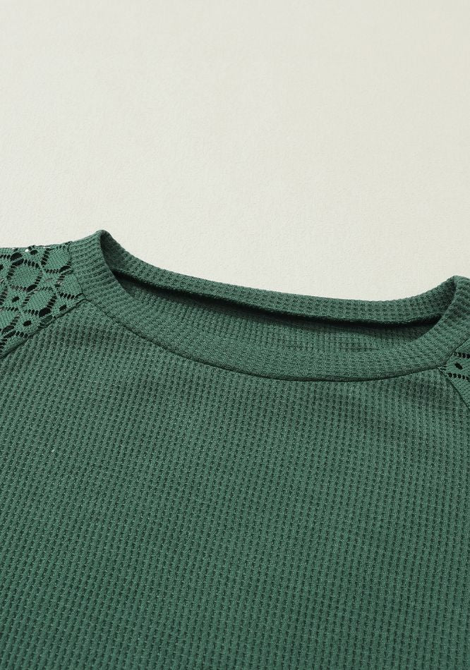 Lace Round Neck Lantern Sleeve Top
